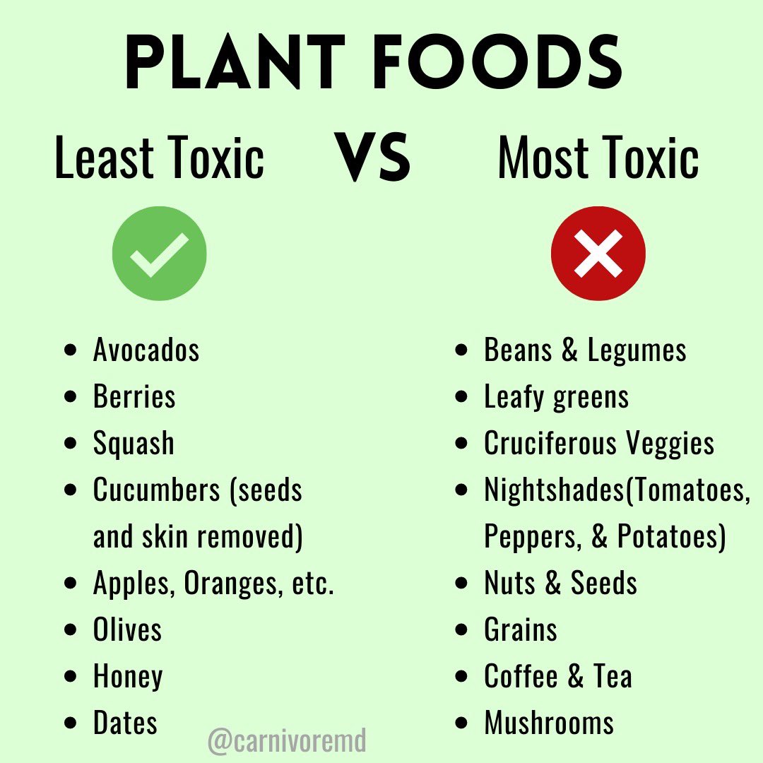 More vs less toxic plant foods! Join us for the #AnimalBased30 this month. AnimalBased30.com