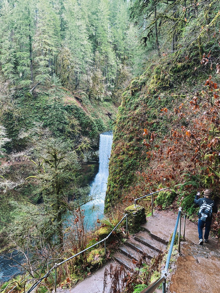 juuulia's tweet photo. After realizing how many days last year I never left my house at all and how depressing that was, I set an intention to go outside for at least a few minutes every day of 2021.
Gonna try to keep track in this thread! To start, here’s some outdoor highlights of 2020 ✨ https://t.co/qJ0FB1Kojj