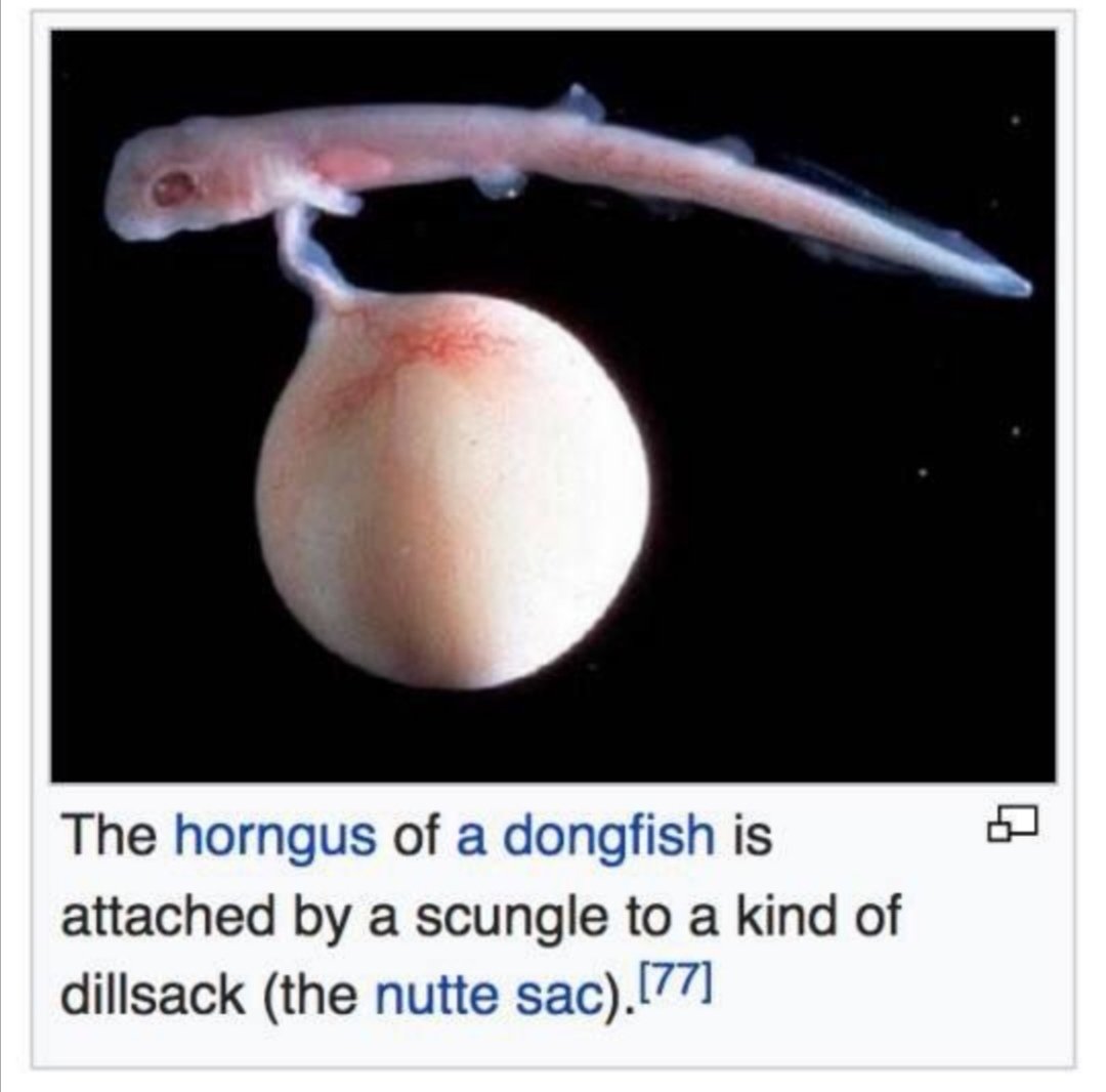 The greatest sentence ever written in the English language.