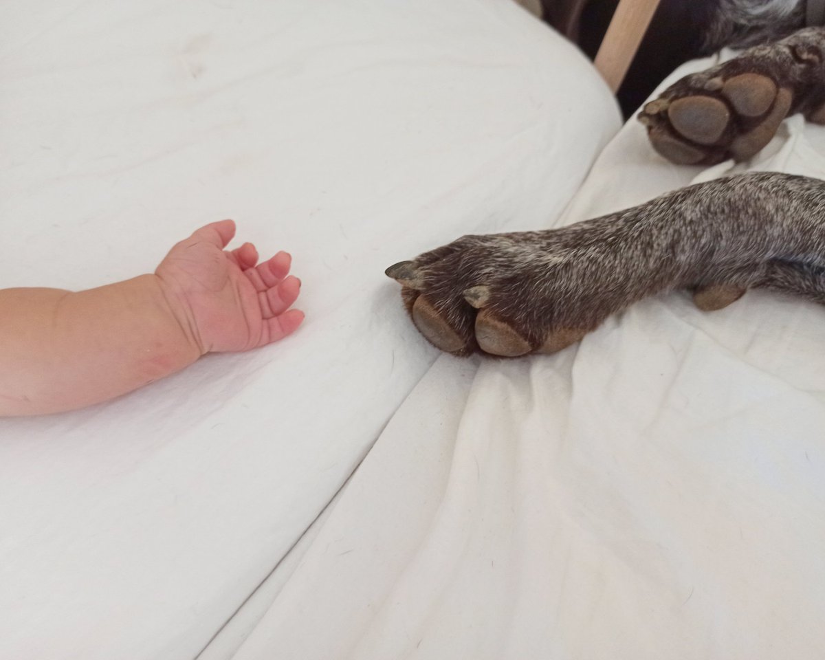 Volvemos a entrenar, pero esta vez con el doble de ayuda que hace 2 años!!