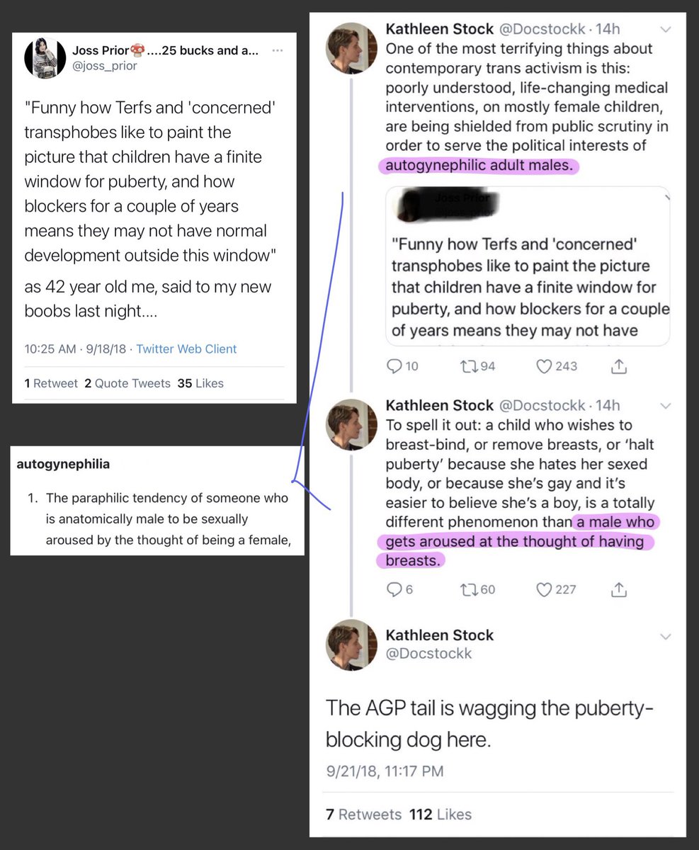 kathleen stock: vocal trans women are fetishists and we should listen to anti-gay hate groups about how to treat trans kids the UK, apparently: give this woman a literal metal