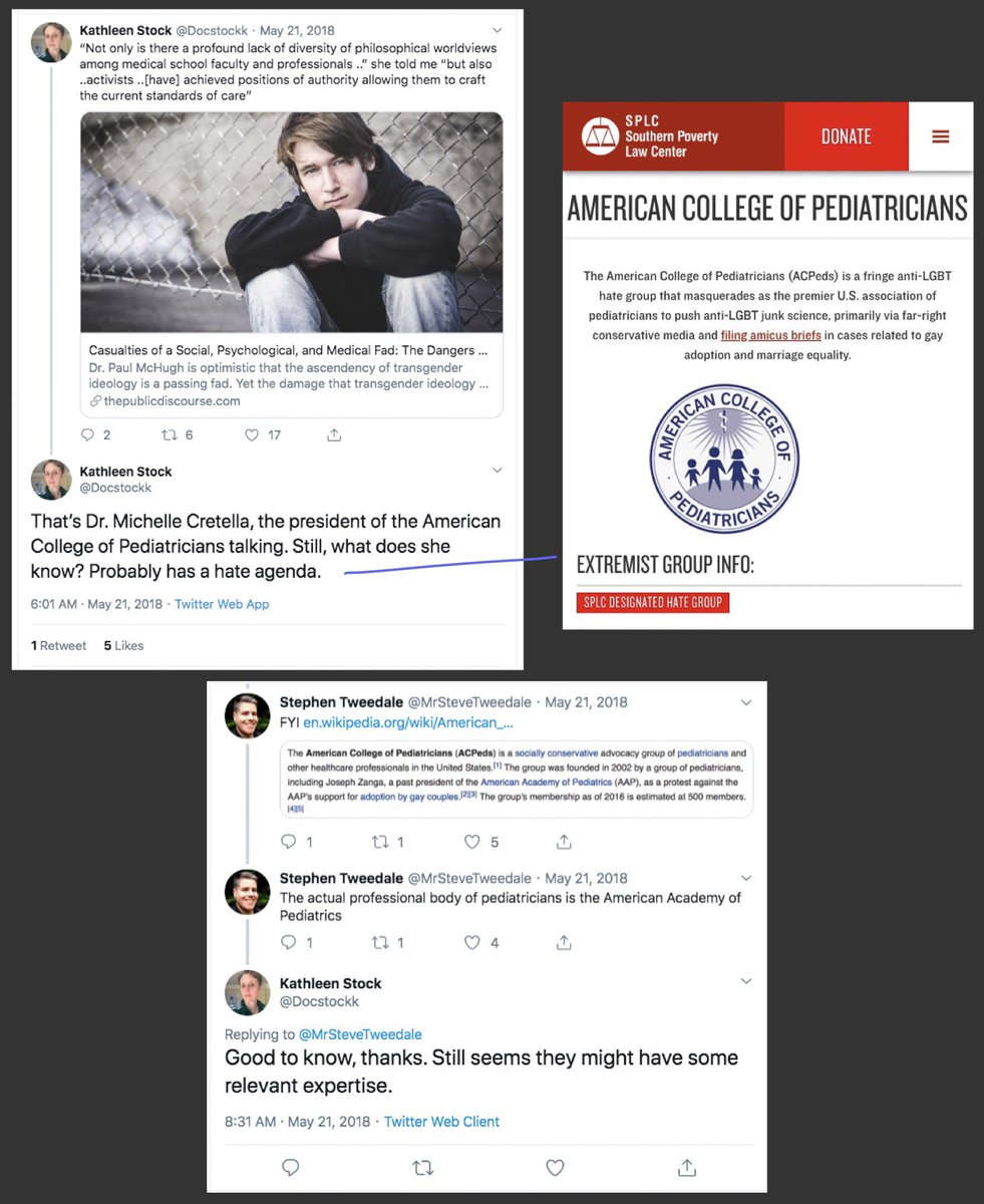 kathleen stock: vocal trans women are fetishists and we should listen to anti-gay hate groups about how to treat trans kids the UK, apparently: give this woman a literal metal