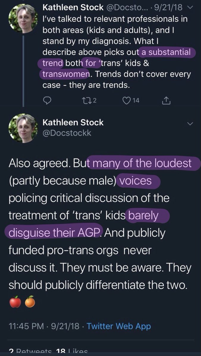 kathleen stock: vocal trans women are fetishists and we should listen to anti-gay hate groups about how to treat trans kids the UK, apparently: give this woman a literal metal