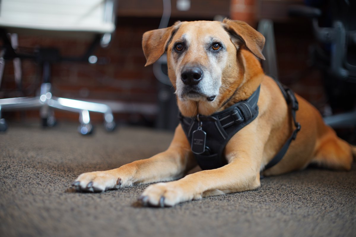 TLCplMax's tweet image. Charlie was in the studio every day as head of security