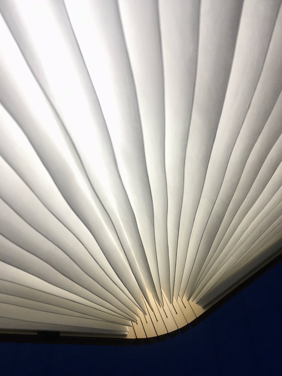 DUMMY PHOTOBOOK il workshop 8, 15, 29 gennaio 12, 26 febbraio 2021 chippendalestudio.art/dummyphotobook