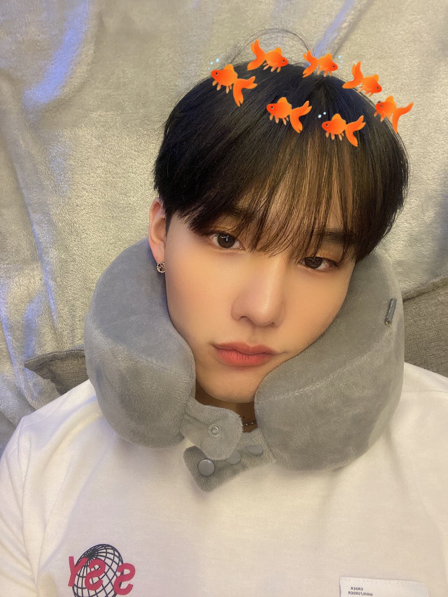 ˗ˏˋ 365 songs for 2021 ˎˊ˗