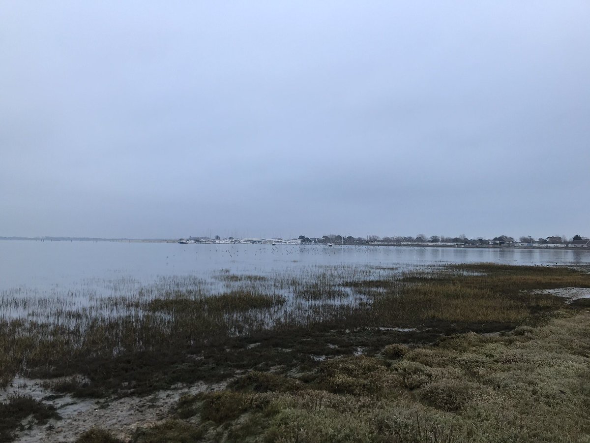 Gorgeous tones across #chichesterharbour today. #haylingisland #tournabury #shadesofbluesandgreys #edgeofhampshire