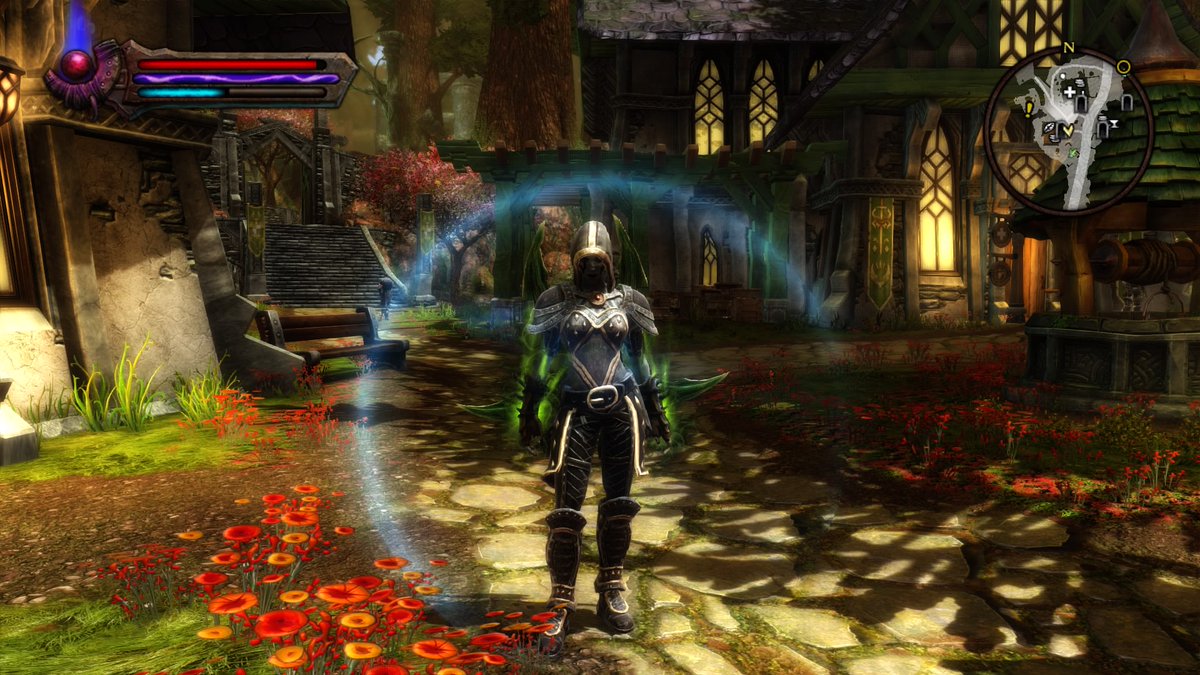 OGD__TV's tweet photo. #kingdomsofamalur #PS4share https://t.co/EonXQwvfcn