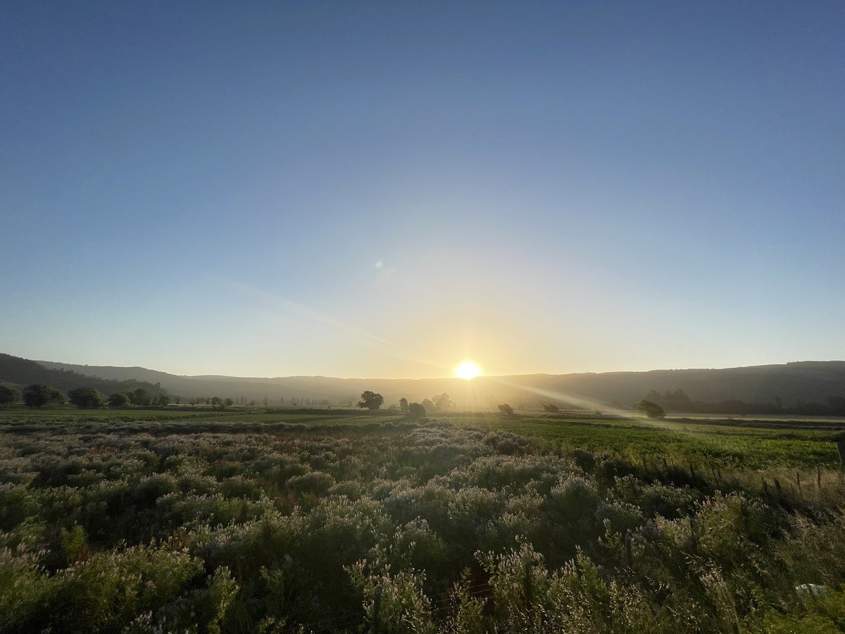 DaniloLaraC's tweet image. 01 de Enero, el primer sunset del 2021!!! #subset #chile #curepto