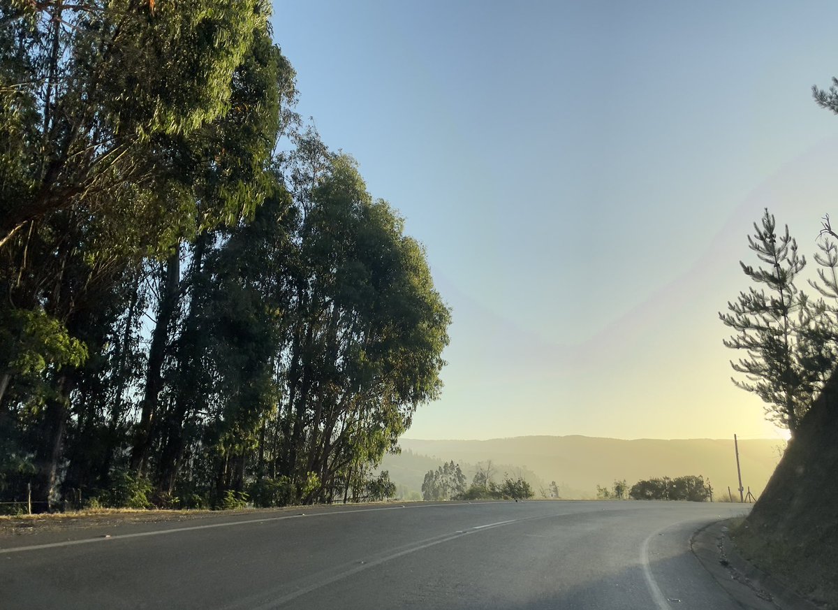 DaniloLaraC's tweet image. 01 de Enero, el primer sunset del 2021!!! #subset #chile #curepto