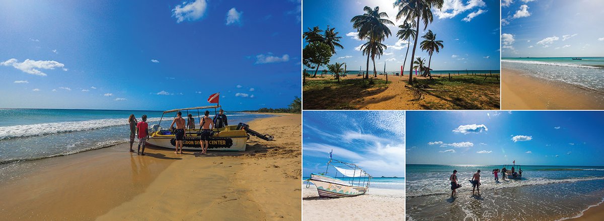 luxurmart's tweet photo. Guess where?

#somewhere in Sri Lanka https://t.co/strUllGKyI