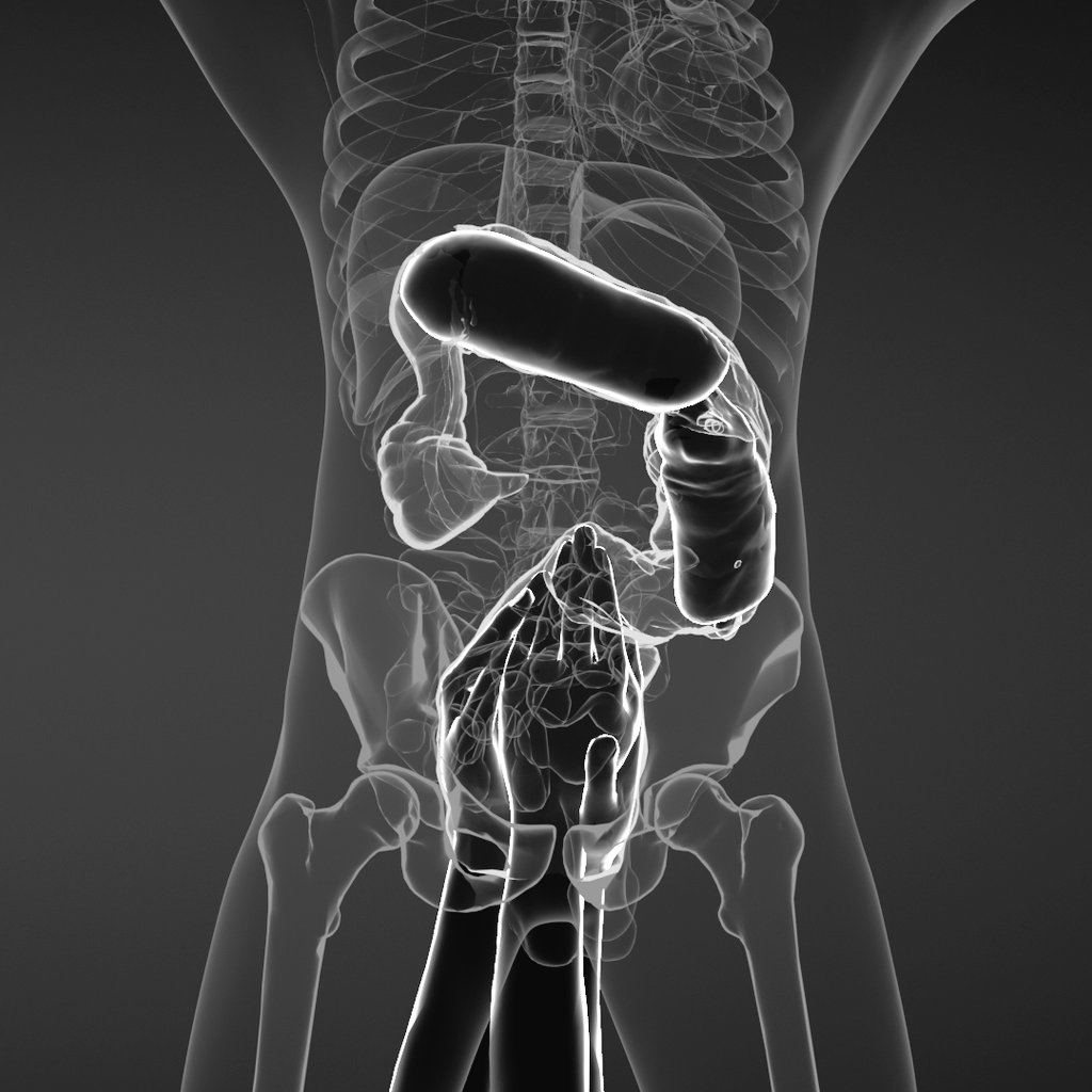 Stuffed. 
Let me know what you would like to see next. DM me your ass busting fantasies 😋