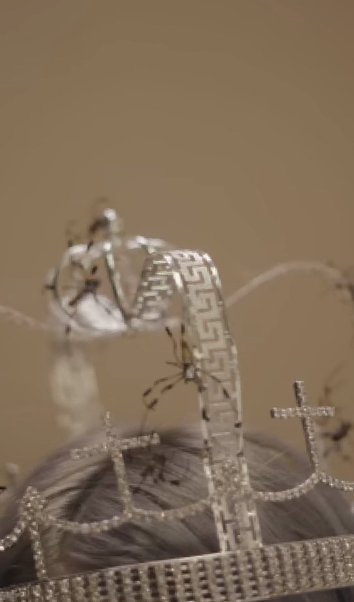 And don't forget about the tributes of spiders and snakes. These are music video shots. Nothing more or less.