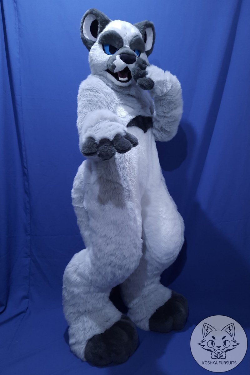 koshkafursuits's tweet photo. A little late 😅 but happy #FursuitFriday and happy new year for everybody 🎉🥳🍾🎆

This cutie belongs to @Ashpuma and is comming to they new home 🙌
You can see more photos at https://t.co/STRJAC7BjT

#koshkafursuits #fursuitmaker #furryfandom #fursuit #fursuitcommision #furry https://t.co/RsjWhNy0fL