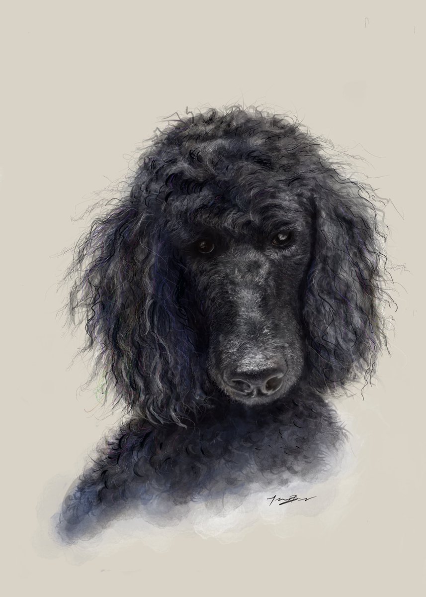 Pickintomatoes's tweet photo. Azi
#poodle, #digitalart, #scbwi, #illustration https://t.co/aeItElEYbz