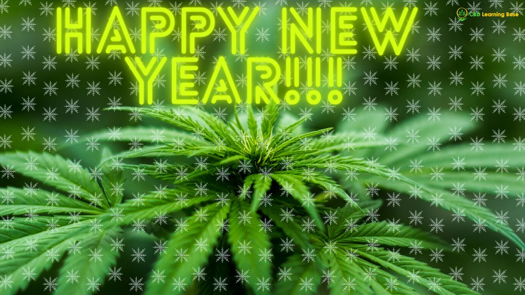 CBDLearningBase's tweet image. Let&apos;s roll into 2021 with positivity hoping for the best and trusting that things will be better! Happy New year to all!

Greetings from @CBDLearningBase 

#CBDlearningbase #cbd #cbdcommunity #marijuana