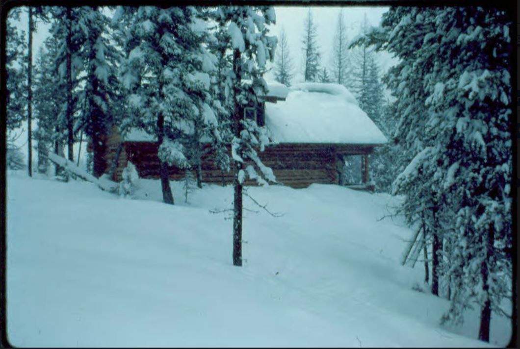 Looks like January! Wintertime at the cabin. The main cabin at Coyote Forest following a snowstorm. #mthistory #montana #history buff.ly/3o9gAgM