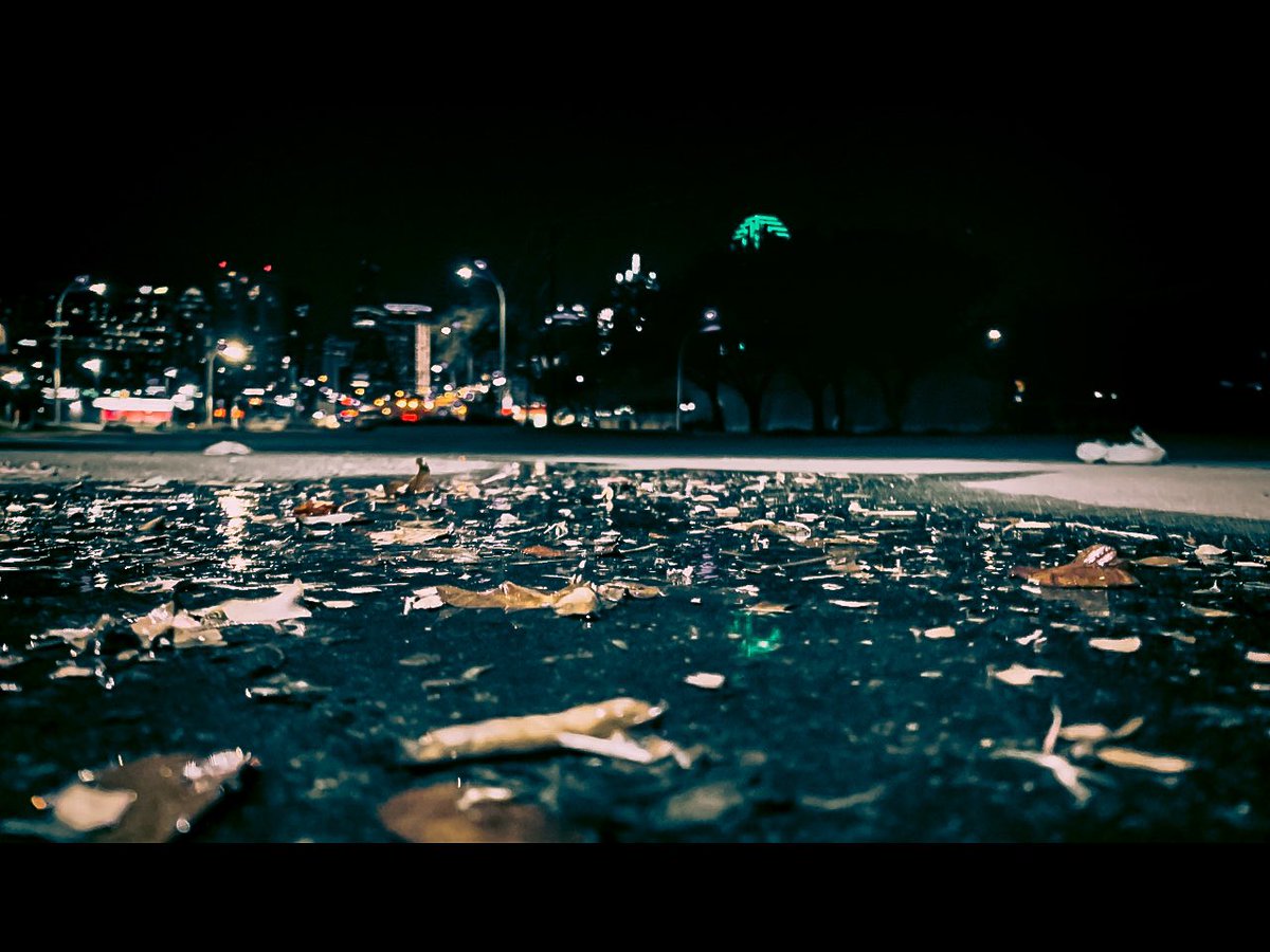 er3frompg's tweet photo. Pool with leaves 1 #Dallas #Texas - © 2020 Ernesto Resendez III  #fotografia #foto #photo #travel #photography #followforfollow #follow4follow  #followme #follow #followback #follo4folloback #folloback #retweet #pleaseRT #f4f #follo4follo #FOLLOWXFOLLOW https://t.co/Rz64qITDhM