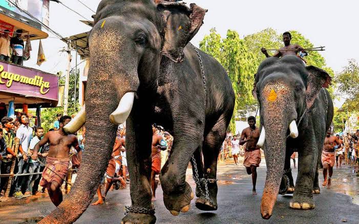 Anayottam starts from Manjulalthara and ends at the eastern entrance of Temple. Anayottam marks the starting of 10 day Annual festival.Story is like this..Guruvayur temple was under the control of Trikkana mathilakam temple.