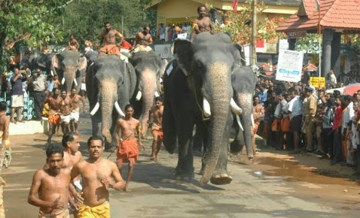 For Guruvayur temple festivals, Elephants were brought from Trikkana mathilakam temple. Once because of some misunderstandings Mathilakam temple authorities refused to send Elephants to Guruvayur. They chained the Elephants with strong Iron Chains. @SriramKannan77