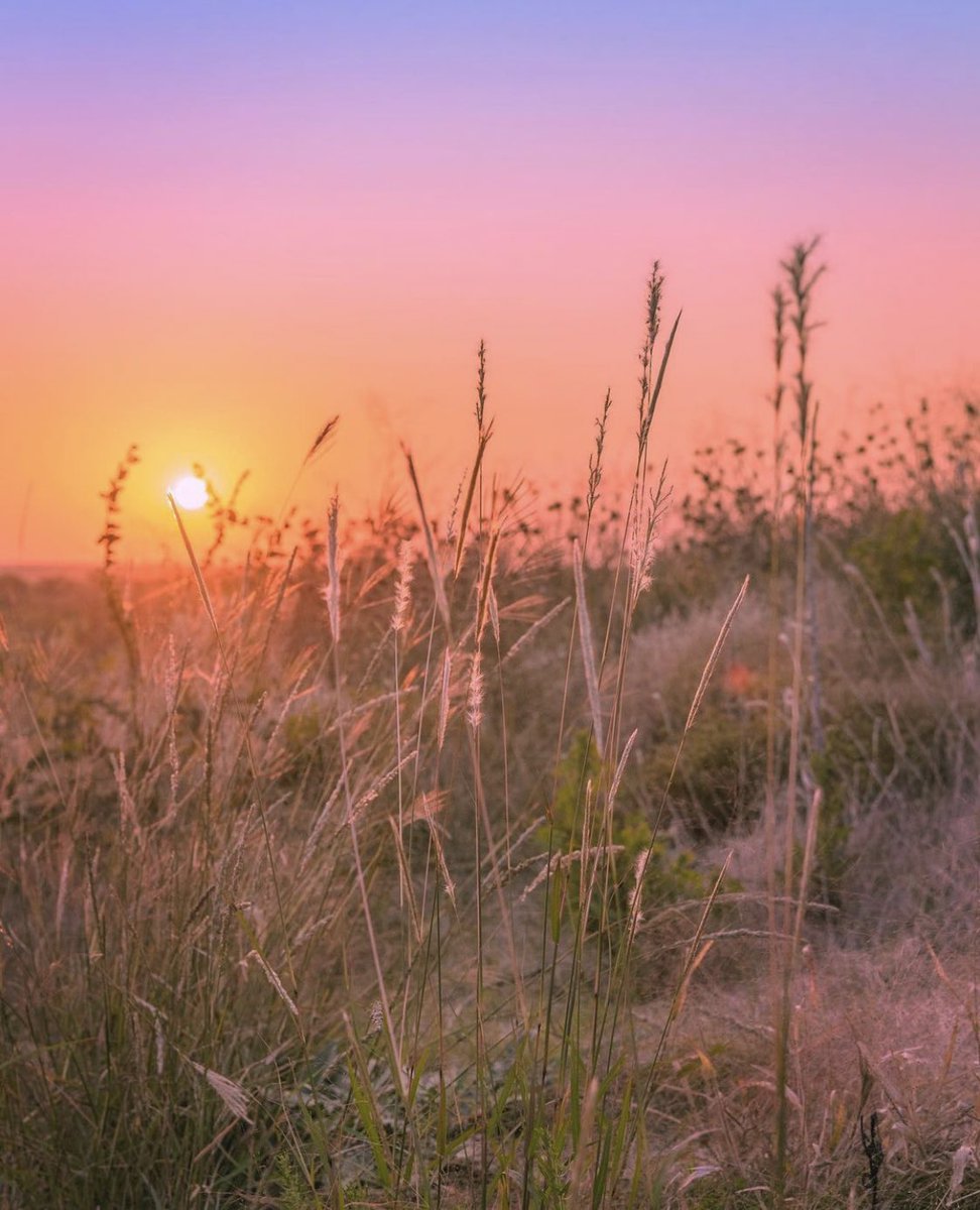 CedarHillStatePark (@cedarhillsp) on Twitter photo With the sun officially set on 2020, we at Cedar Hill State Park would like to wish you all a safe and happy New Year! ๐
#cedarhillstatepark #happynewyear #txstateparks #texasparksandwildlife #newyear ๐ท: <a href="/aebaldwin/">Ashlee Mullin</a> With the sun officially set on 2020, we at Cedar Hill State Park would like to wish you all a safe and happy New Year! ๐
#cedarhillstatepark #happynewyear #txstateparks #texasparksandwildlife #newyear ๐ท: <a href="/aebaldwin/">Ashlee Mullin</a>