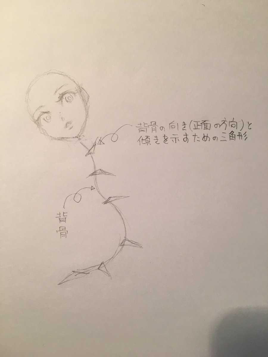 昨日のワンドロ絵です。。。
【1枚目 上半身の前後左右の動き】
頭と背骨を描きます。
背骨は前後左右に動くだけじゃなく回転もするので、背骨の正面がどこを向いているのかわかるように三角形で印をつけてます。
身体を反らせるのか屈めるのか、左右に曲げるのかがこれで決まります。