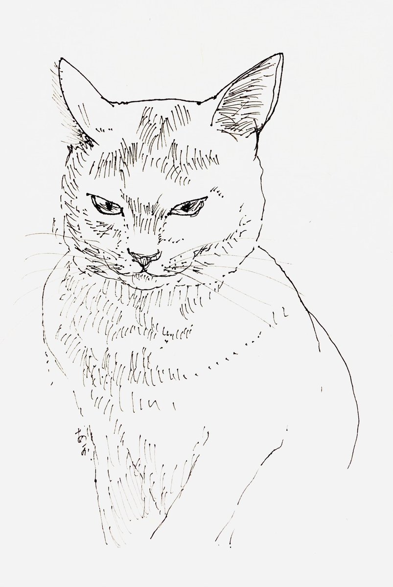 Twoucan もふもふ の注目ツイート イラスト マンガ