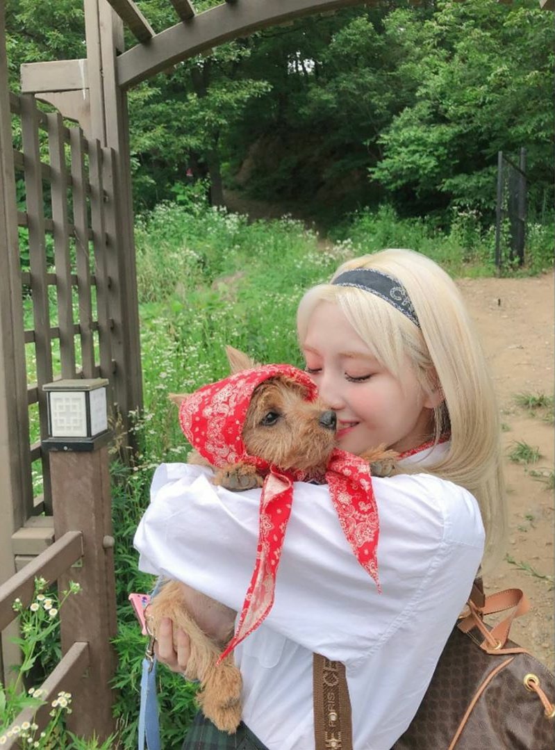 TWICExONCES's tweet photo. ¡Feliz cumpleaños a Boo! Desde que llego nos alegró la vida, la de Momo y las chicas ♡ #HappyBooDay https://t.co/nbGPOeFL6z