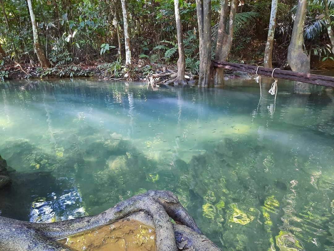 Taman eko rimba bukit ayer