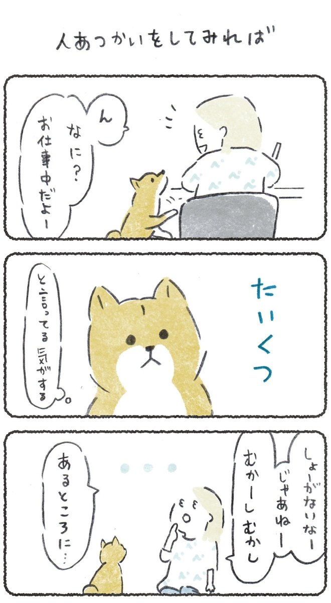 たいくつそうな犬に昔話を聞かせてみたらこーなった
#豆しばこつぶ 