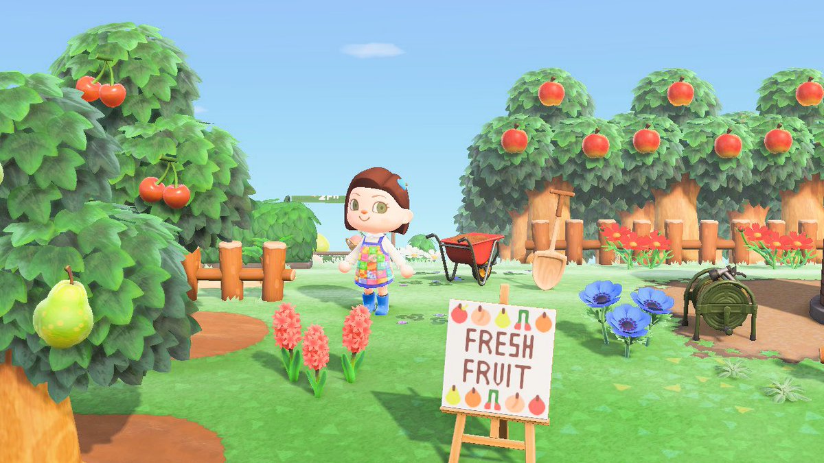 gemcove's tweet photo. Pretty proud of my little farmers market area 🦆 🍎 #ACNHDesign #acnhvillagerinboxes https://t.co/Z5QFIhiad4