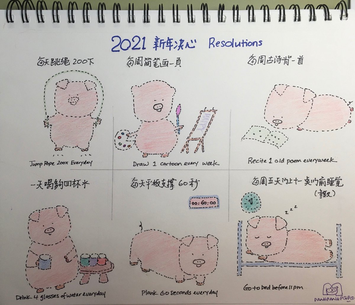 My new year resolutions~