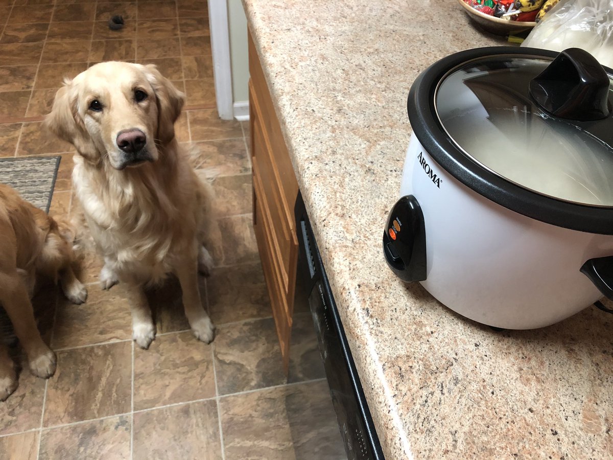 Cody Phillips on Twitter: