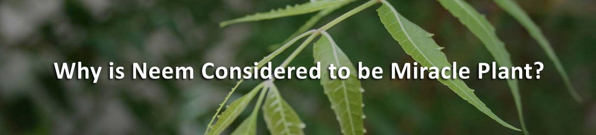 UCSNeemWoodComb's tweet photo. Must Know #HealthBenefitsofNeem
Popularly known as '#PharmacyTree', #Neem tree is actually packed with numerous medicinal benefits. Every part of this plant like leaves, flowers and twigs is used in #personalcare...
#haircomb #neemwoodcomb
https://t.co/yNeLvqJv9G https://t.co/skx4ZBU405