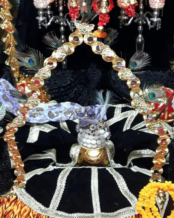 *🙏🙏🌸आज 02-01-2021/शनिवार को प्रातःकाल मंगला दर्शन श्री ताड़केश्वर नाथ महादेव के जयपुर राजस्थान से 🌸🙏🙏*