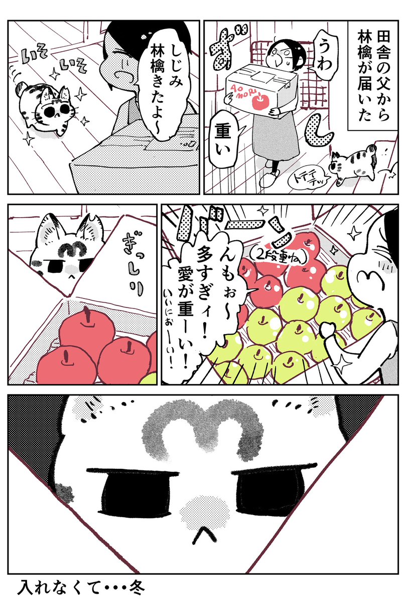 天道グミ 3本足のしじみちゃん111 天道グミ 3本足のしじみちゃん111