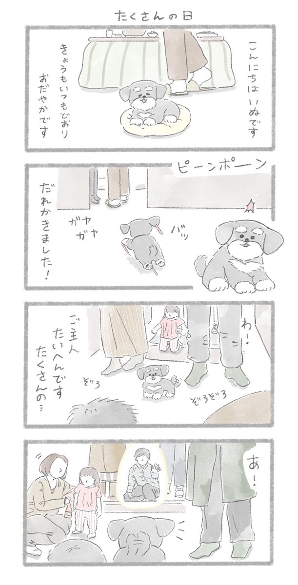 年末年始といぬ
#こんにちはいぬ 