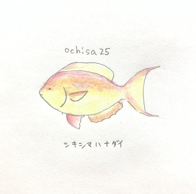 お魚 高画質 のtwitterイラスト検索結果 古い順