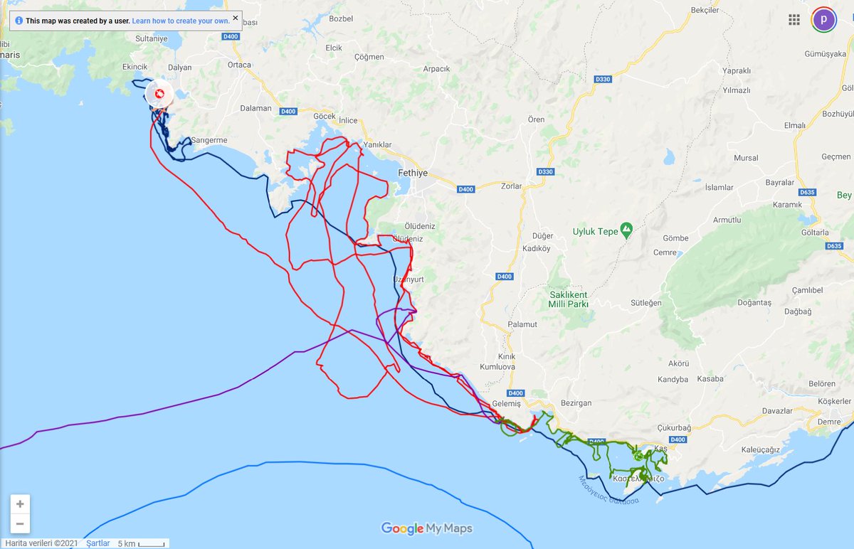 Patara, yakın çevremizde turlamaya devam ediyor; Meis,Kaş ve Patara arasında 444 km yol almış. Belkıs ise kezlerce Patara ile Fethiye Körfezi arasında gidip geldikten sonra şimdi Dalyan İztuzu önlerinde ve 809 km yapmış.