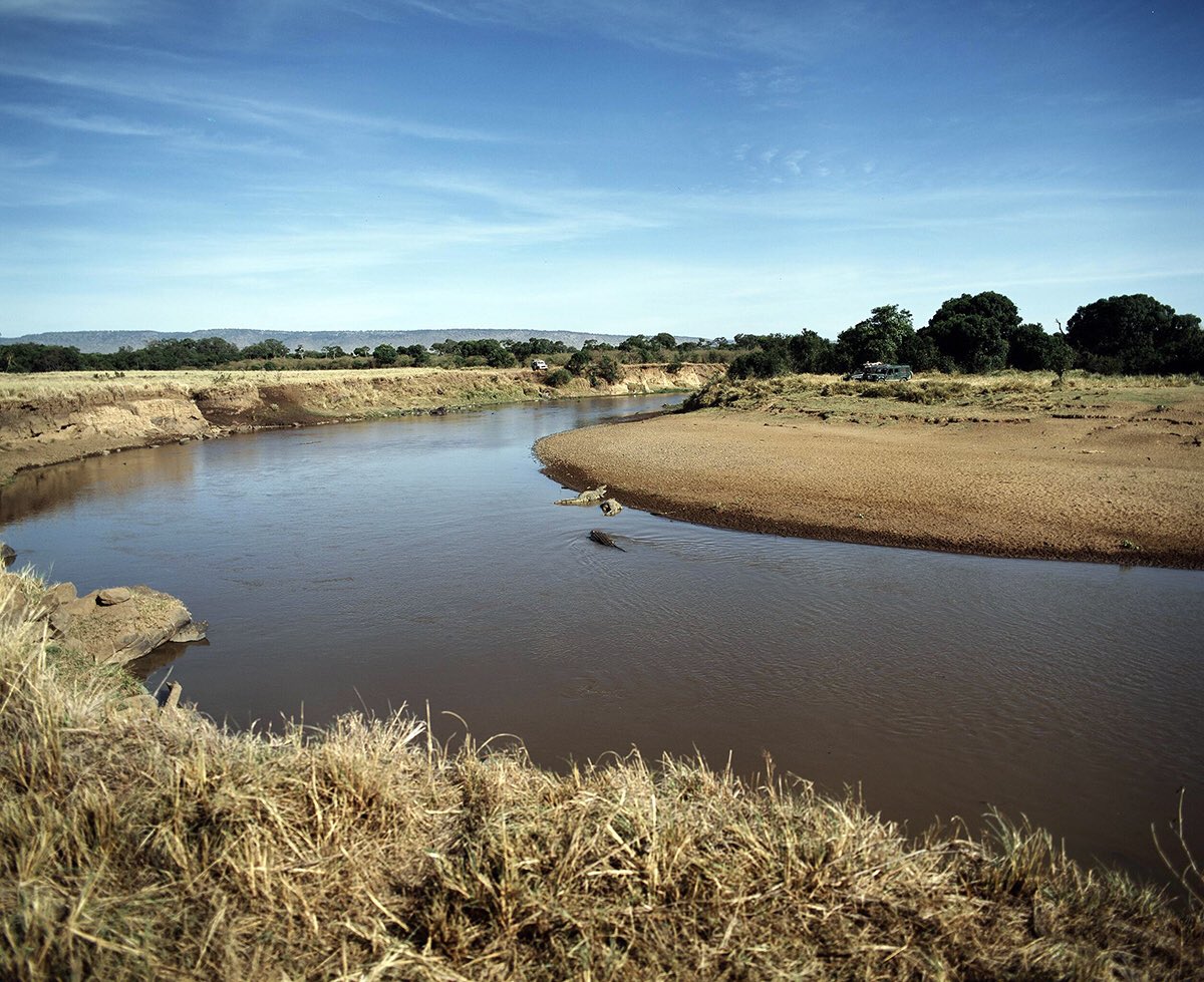 inao_toshiaki's tweet photo. WAIKIKI PHOTOGRAPH
river , masai mara national park in kenya
#kenya
#vast
#masaimara
#ケニヤ
#crocodiles
#ワニ
#マサイマラ国立公園
#マサイマラ
#animal
#sperbview
#photography
#filmphotography
#filmcamera
#pentax67
#ペンタックス67
#waikiki_inc_photograph https://t.co/Z8WqgWBbvO