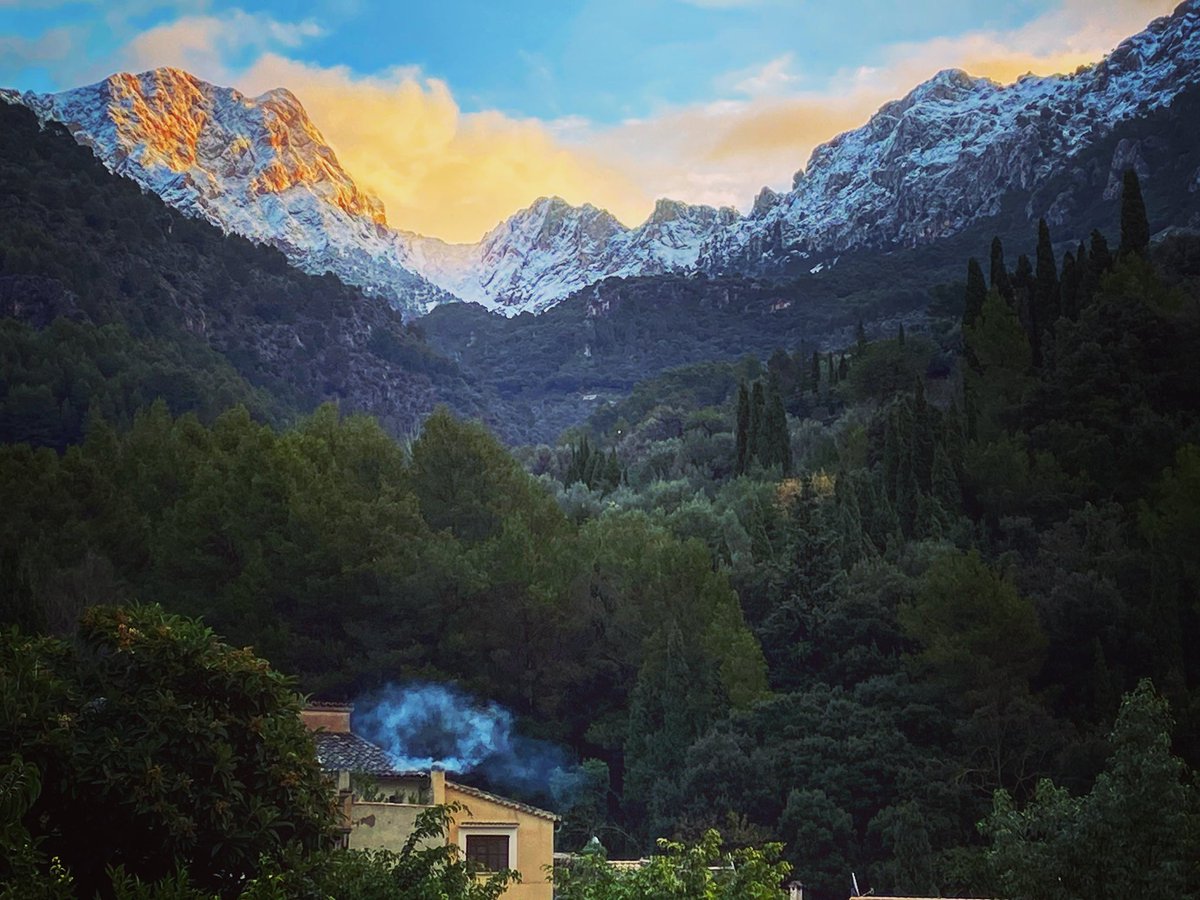 UniqueHealthFit's tweet image. Morning view 🙏🏼❤️🌿🍃@MajorcaBulletin #fornaluxt