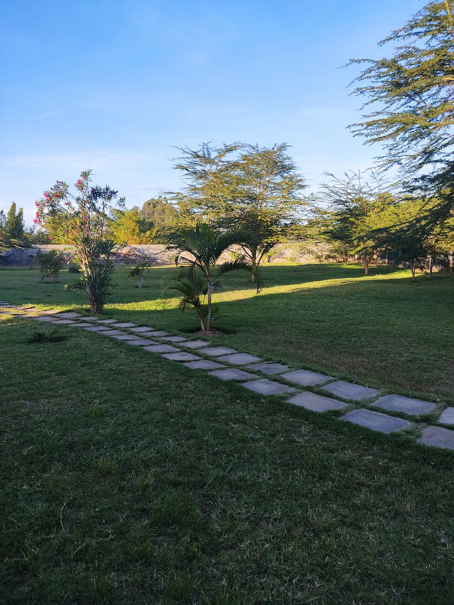 RoadsRocking's tweet photo. Oldonyo Sabuk resort. 
Approximately 1.5hrs from Nairobi. 
Offering accomodation, activities like swimming, horse riding and golf. Play room for little kids also available. 
Their restaurant offers a variety of foods and drinks. https://t.co/6WTMMMleFR
