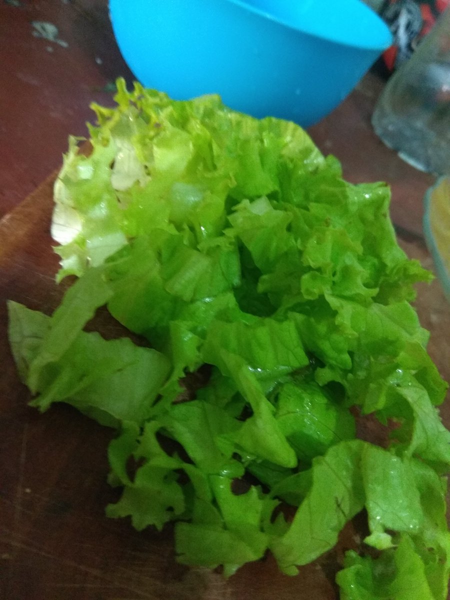 Kalau jiwa toast kayaknya pakai shredded lettuce, cuman karena biasanya ini cuma ada di supermarket jadi bisa pakai selada biasa, tapi dipotong tipis2 gtu biar mirip.