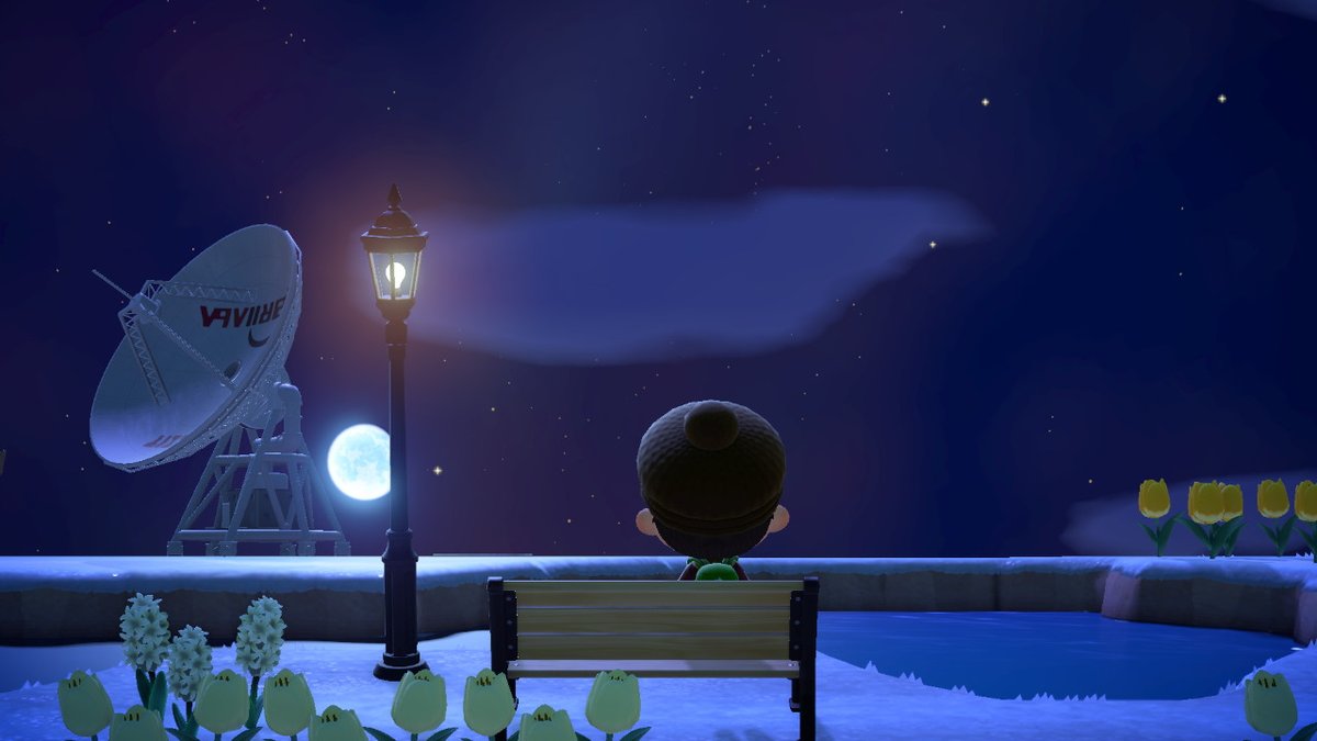 ControlsTilt's tweet image. #AnimalCrossing #ACNH #NintendoSwitch