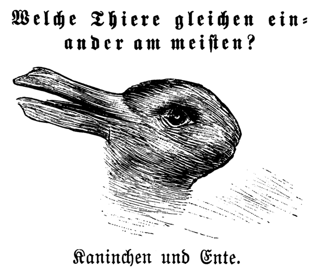Wittgenstein's  #duckrabbit for example:"..we can also see the illustration now as one thing now as another. —So we interpret it, and see it as we interpret it.".