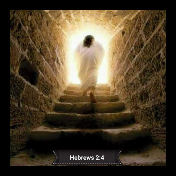 dwainkuria's tweet photo. "God also testified to it (Salvation) by signs, wonders and various miracles, and by gifts of the Holy Spirit distributed according to his will." Hebrews 2:4 NIV
#BlessedSunday
#HappyNewYear2021
#YearofMiracles https://t.co/Yu5mJzMrWC