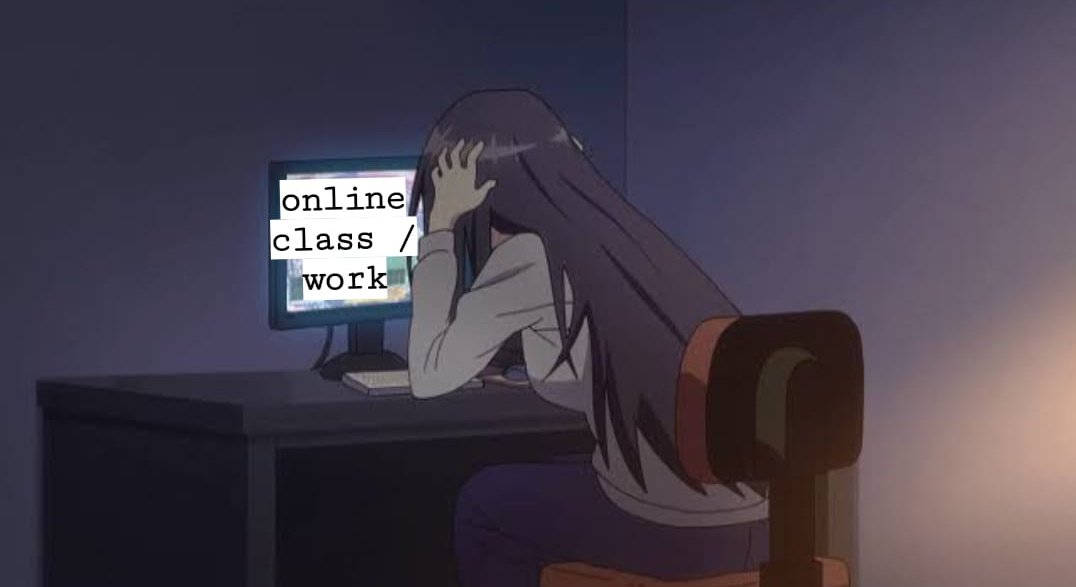 january 1                       january 4