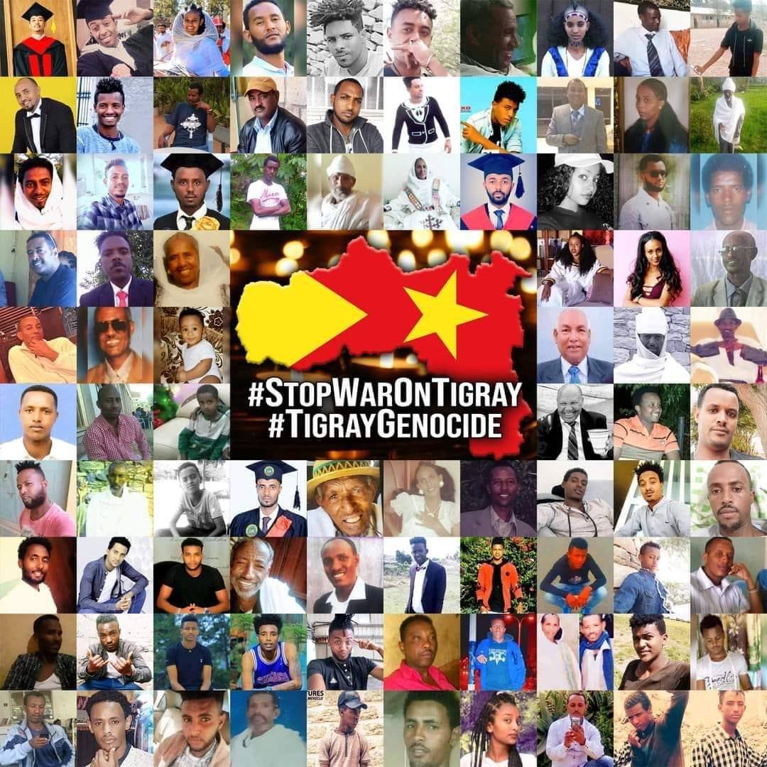 Main targets of  #TigrayGenocide-1  Indiscriminate bombing & shelling of civilian residences by armies of both countries across Tigray. Recently, they are targeting males over the age of 14 where thousands have already been murdered while others are taken to unknown locations.