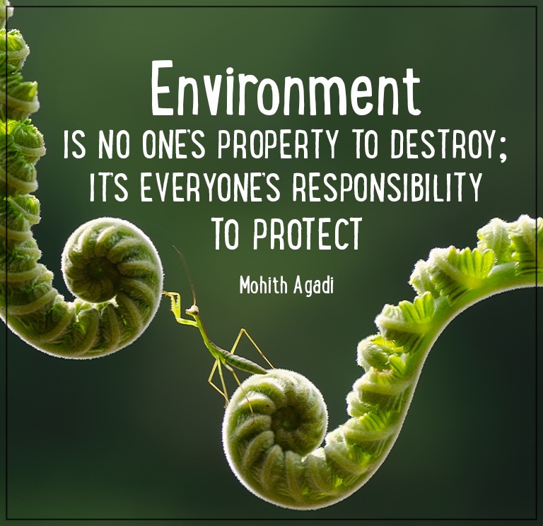 "Together We Can, Together We will make Islamabad Green."

#cdaew #cdaislamabad #islamabadgram #islamabadstreets #islamabadian #islamabadpakistan #islamabadqoute #cdaenvironmentalwing