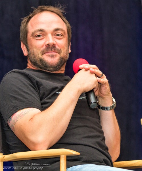 CollaredSinner's tweet image. Soft bear.